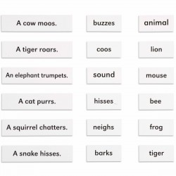 Animals And Their Sounds