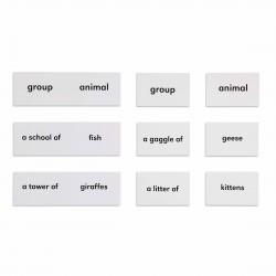 Les animaux et leurs groupes