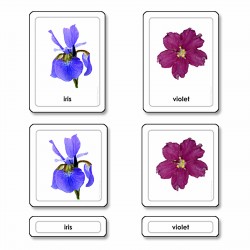 Fleurs, cartes en 3 parties