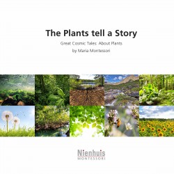 Story Of The Plants 