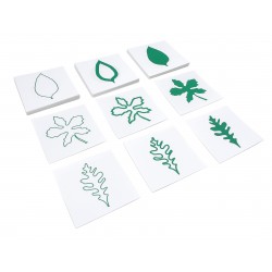 Leaf Cards